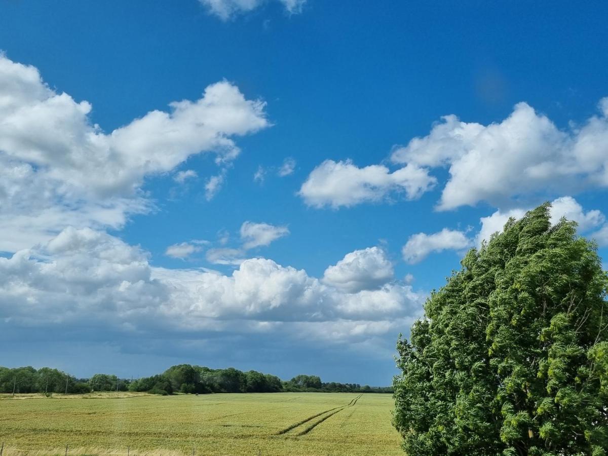Scheune In Ostseenaehe Auch Mit Pferd Ducherow Buitenkant foto